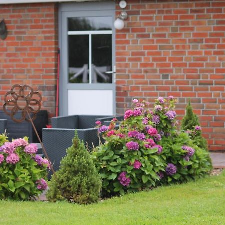 Balzwiekje Auszeit Auf Pferdehof In Ostfriesland Ihlow  ภายนอก รูปภาพ