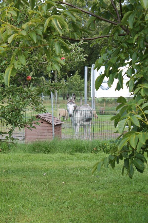 Balzwiekje Auszeit Auf Pferdehof In Ostfriesland Ihlow  ภายนอก รูปภาพ